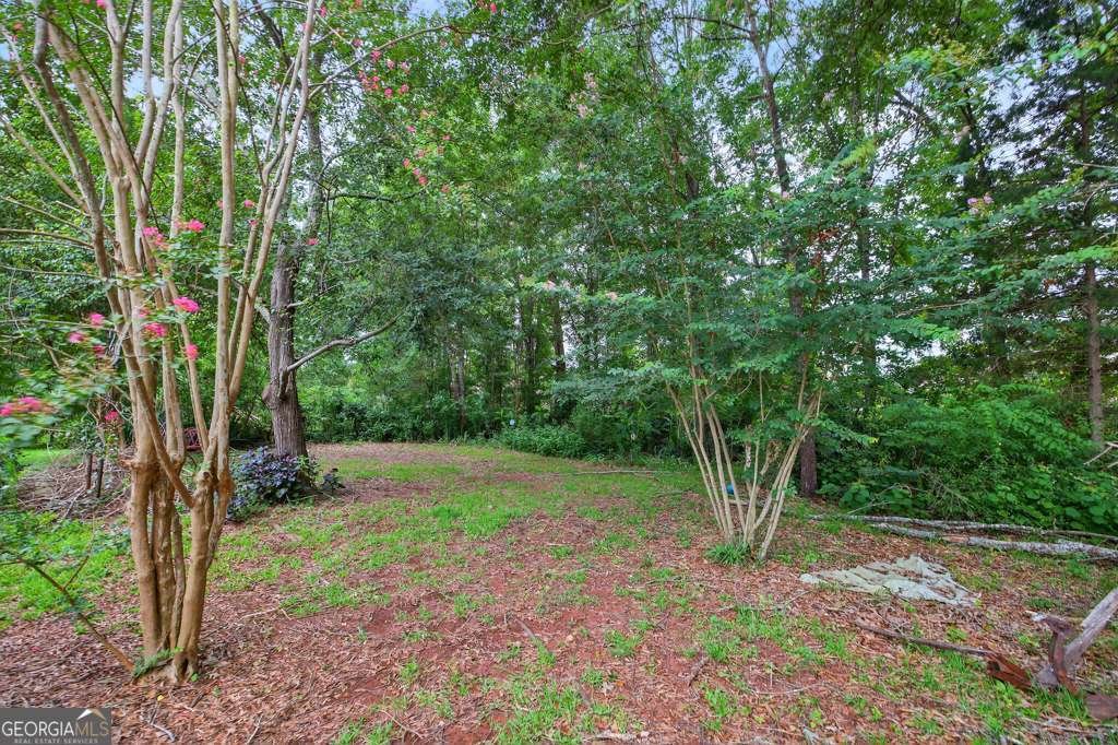 115 Moseley Crossing Drive Stockbridge - 36