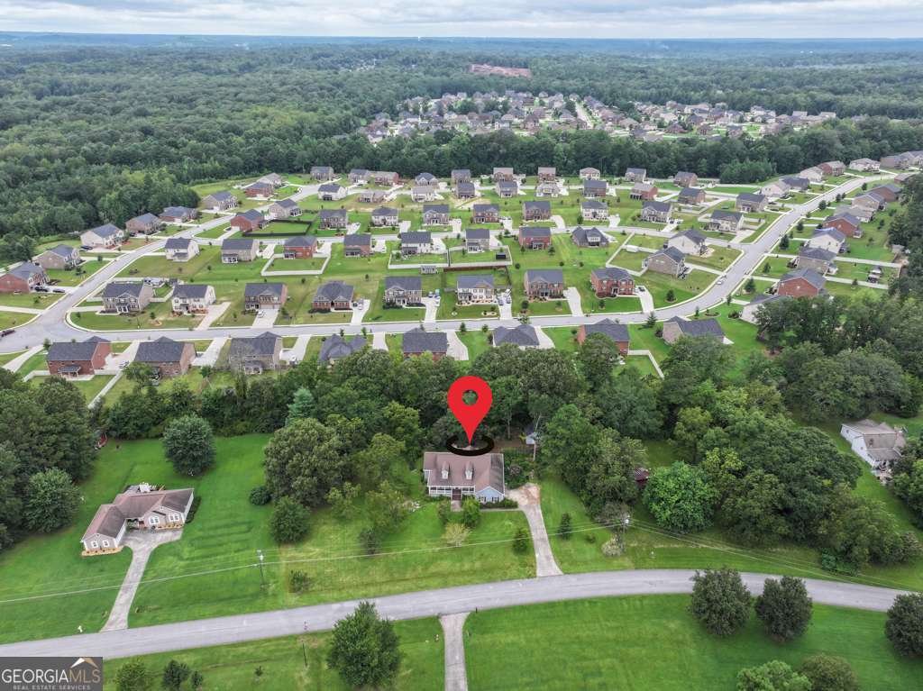 115 Moseley Crossing Drive Stockbridge - 43
