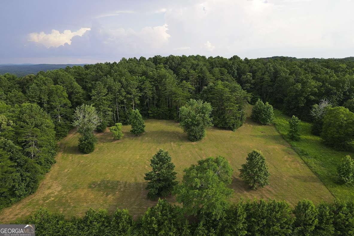LOT18B Aspen Way Adairsville - 13