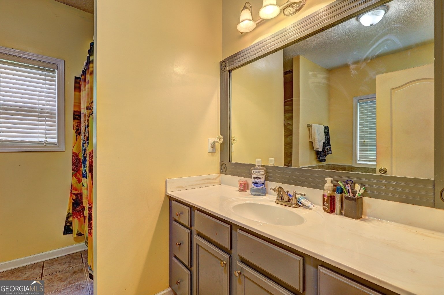 275 Liberty Bell Lane Griffin - 13