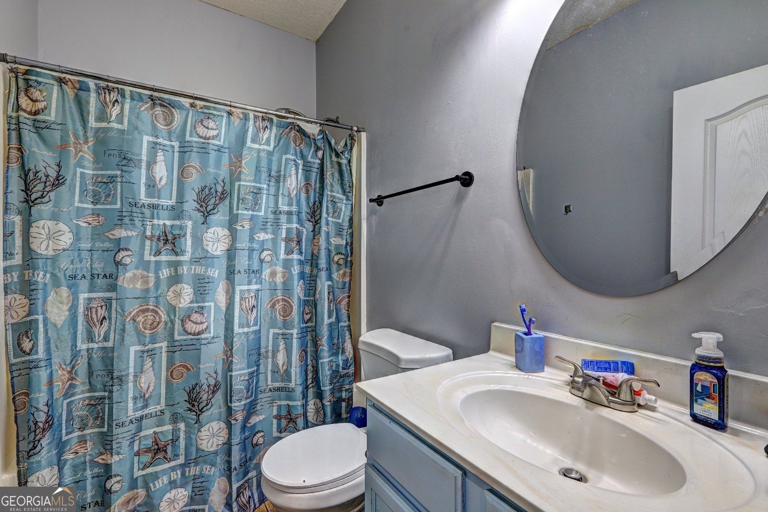 275 Liberty Bell Lane Griffin - 19