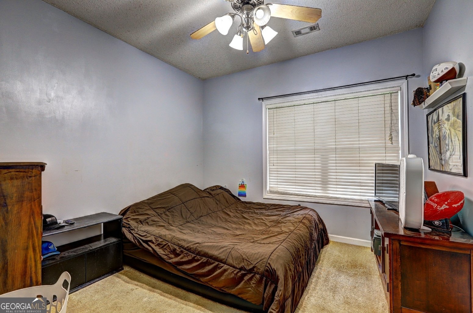 275 Liberty Bell Lane Griffin - 20