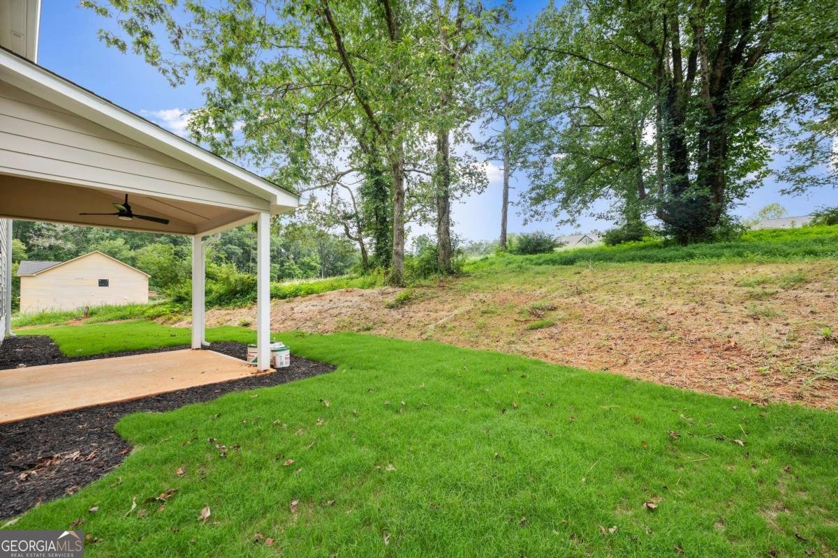 220 HARDMAN Road Clarkesville - 12