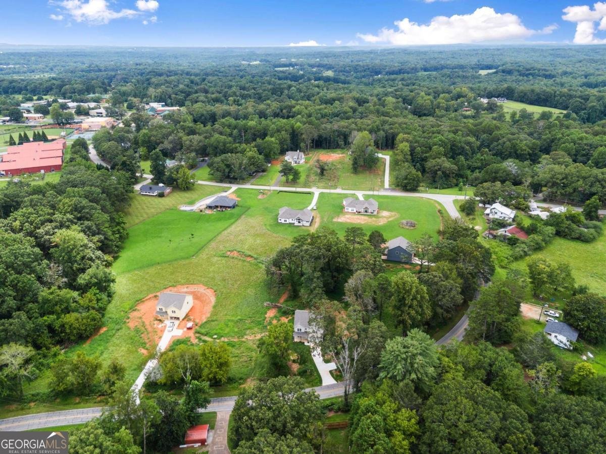 220 HARDMAN Road Clarkesville - 17