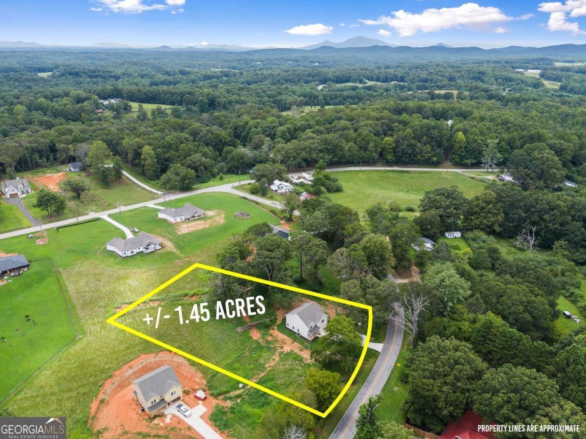 220 HARDMAN Road Clarkesville - 20