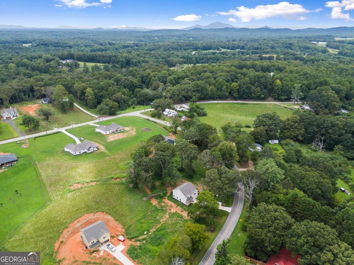 220 HARDMAN Road Clarkesville - 21