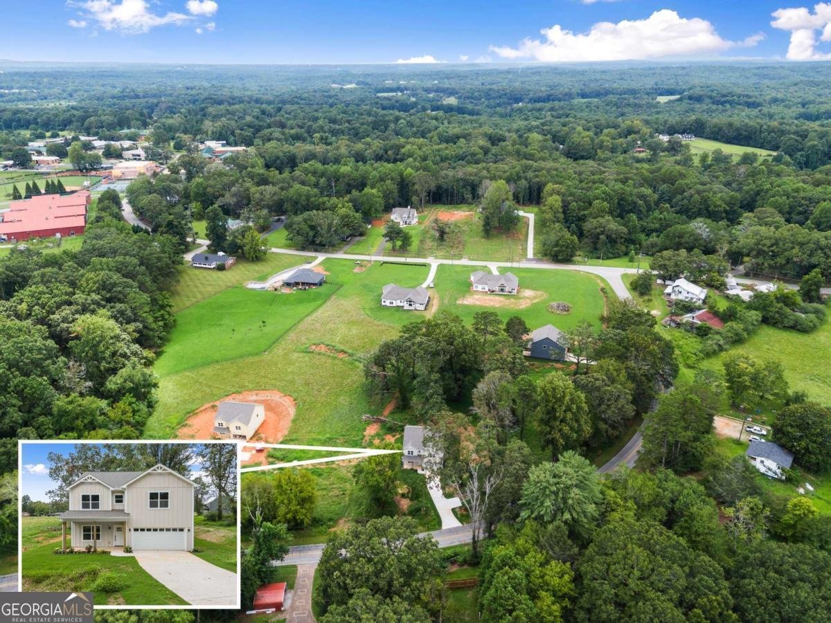 220 HARDMAN Road Clarkesville - 51