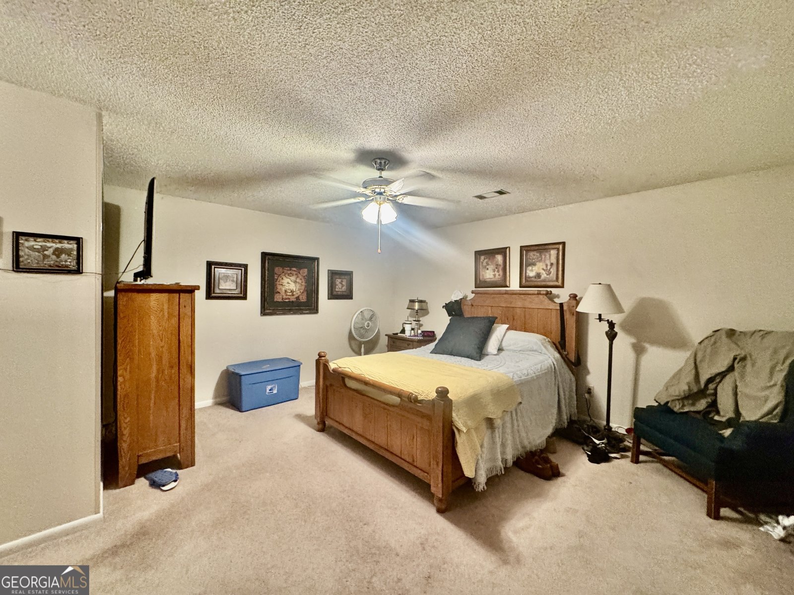 116 Lake Pointe Drive Warner Robins - 22