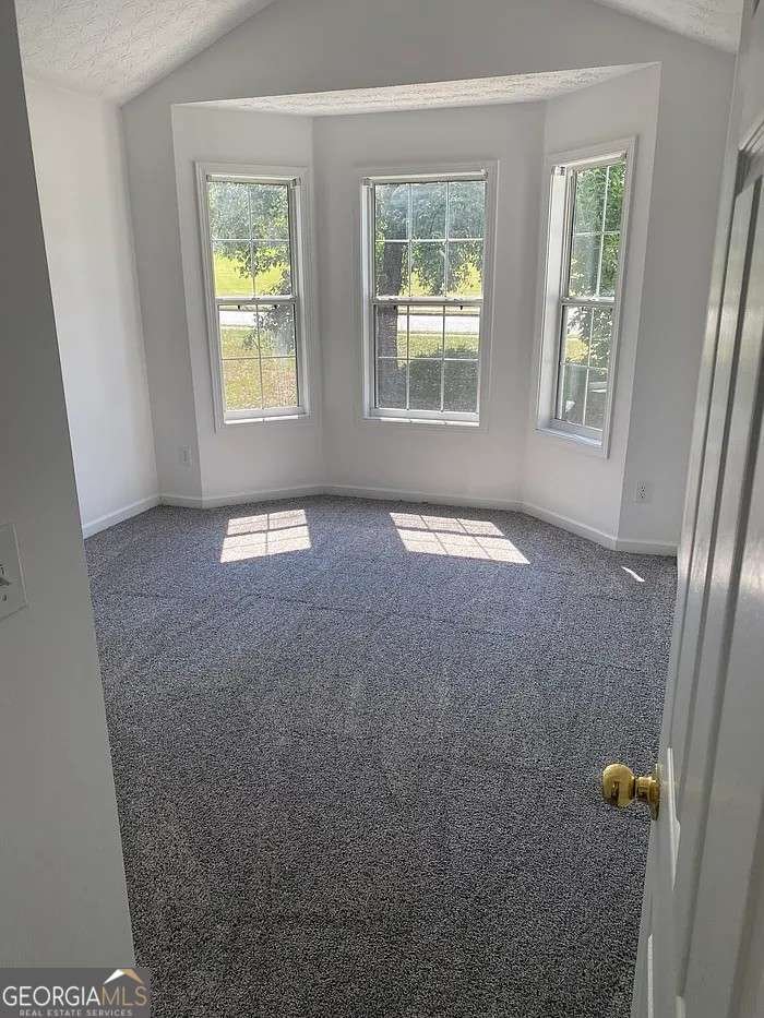 1432 Armende Circle Dacula - 2