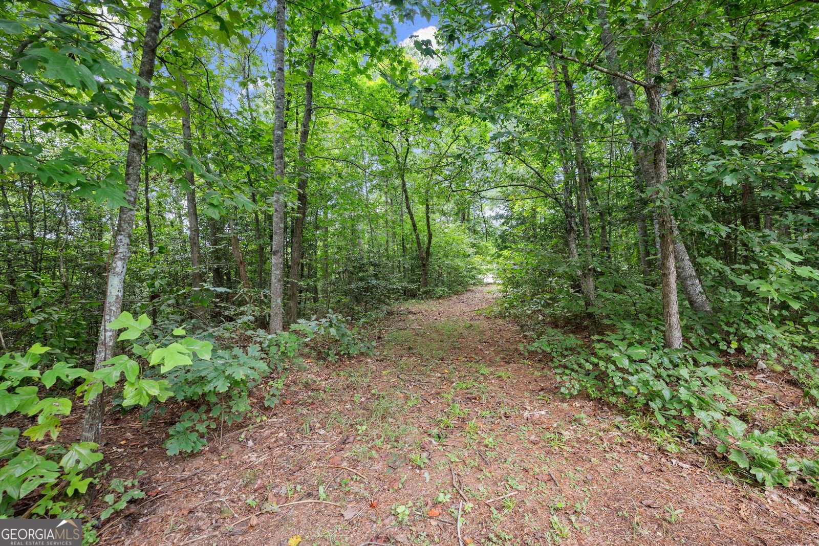 188 Southern Estates Drive Clarkesville - 30