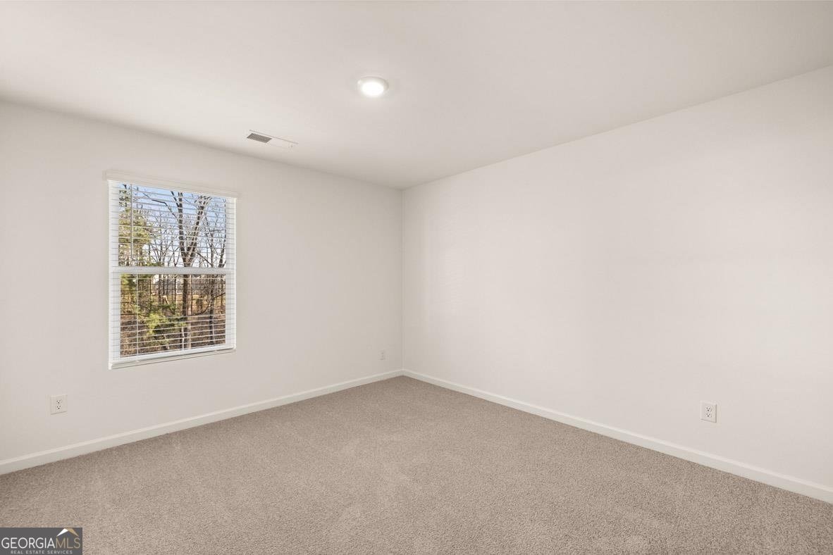 621 Lobelia Way Locust Grove - 25