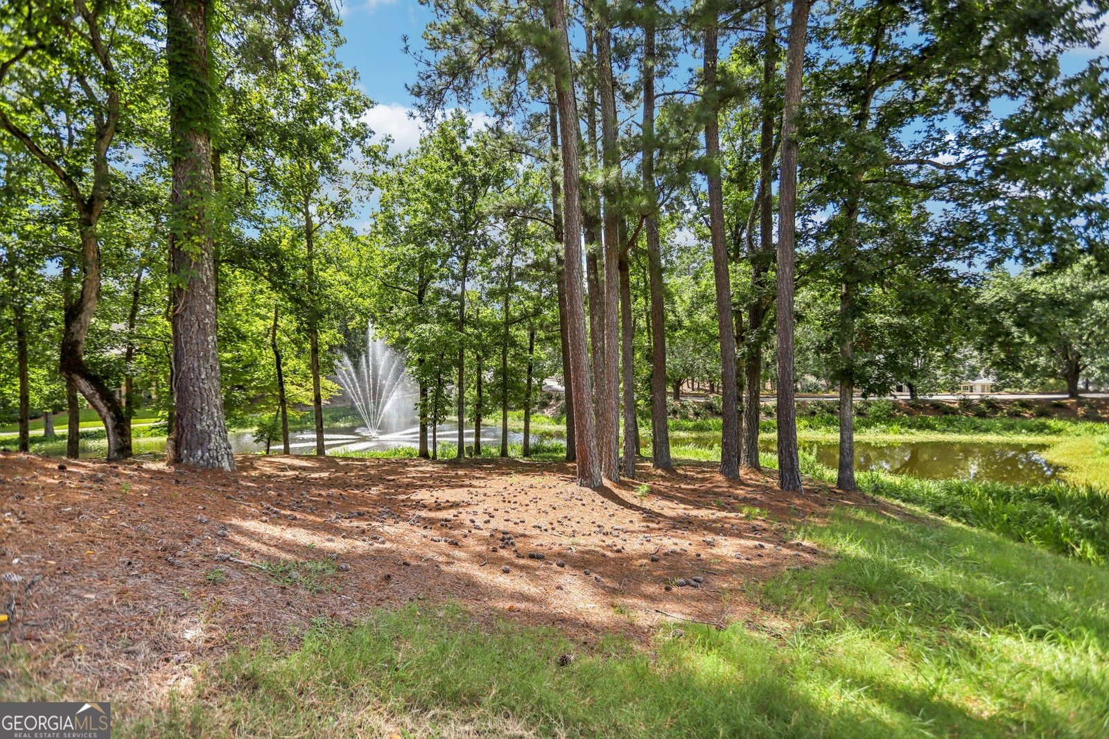 1113 Wharfside Court Greensboro - 52
