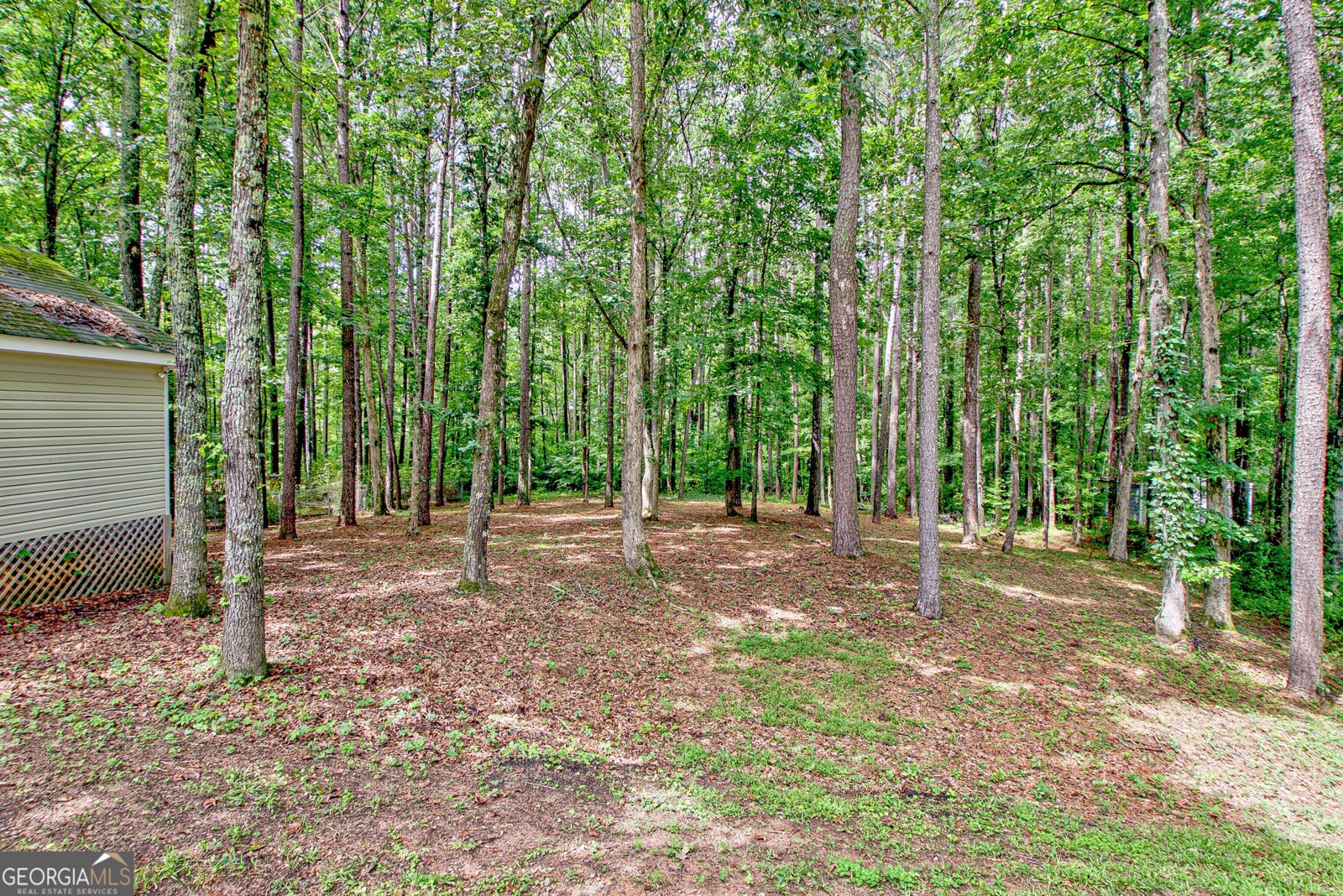 260 Kripple Kreek Drive Sharpsburg - 1