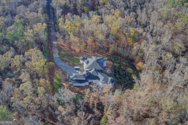 1628 Golden Creek Court Conyers - 3