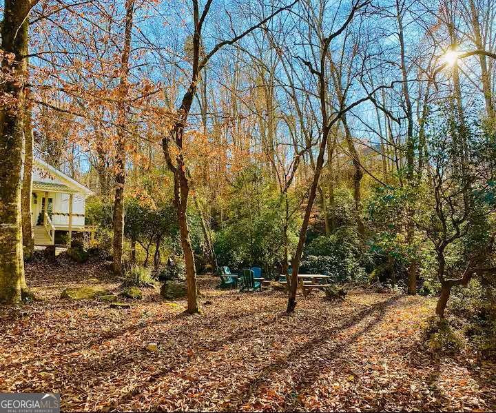 260 Holly Lane Dahlonega - 10