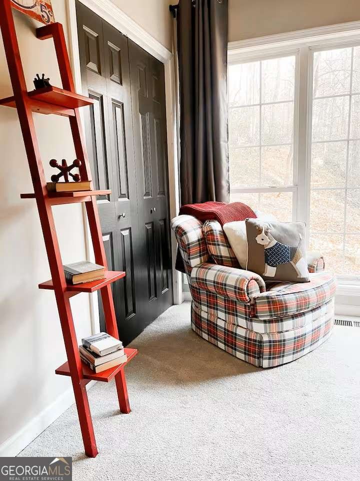 260 Holly Lane Dahlonega - 22