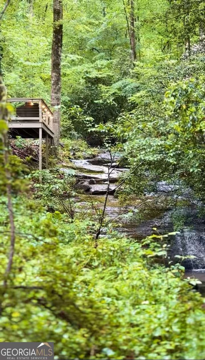 260 Holly Lane Dahlonega - 3