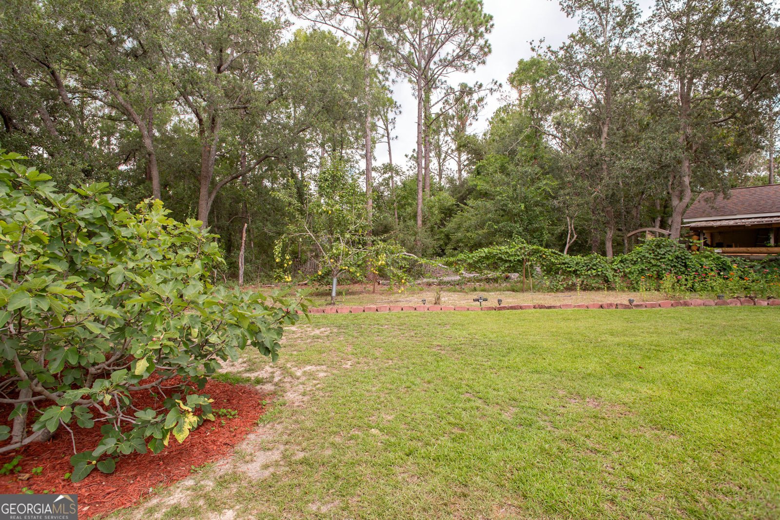 6223 Palmetto Way Blackshear - 16