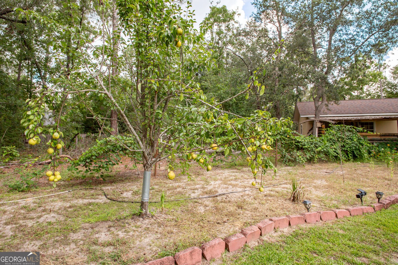 6223 Palmetto Way Blackshear - 18