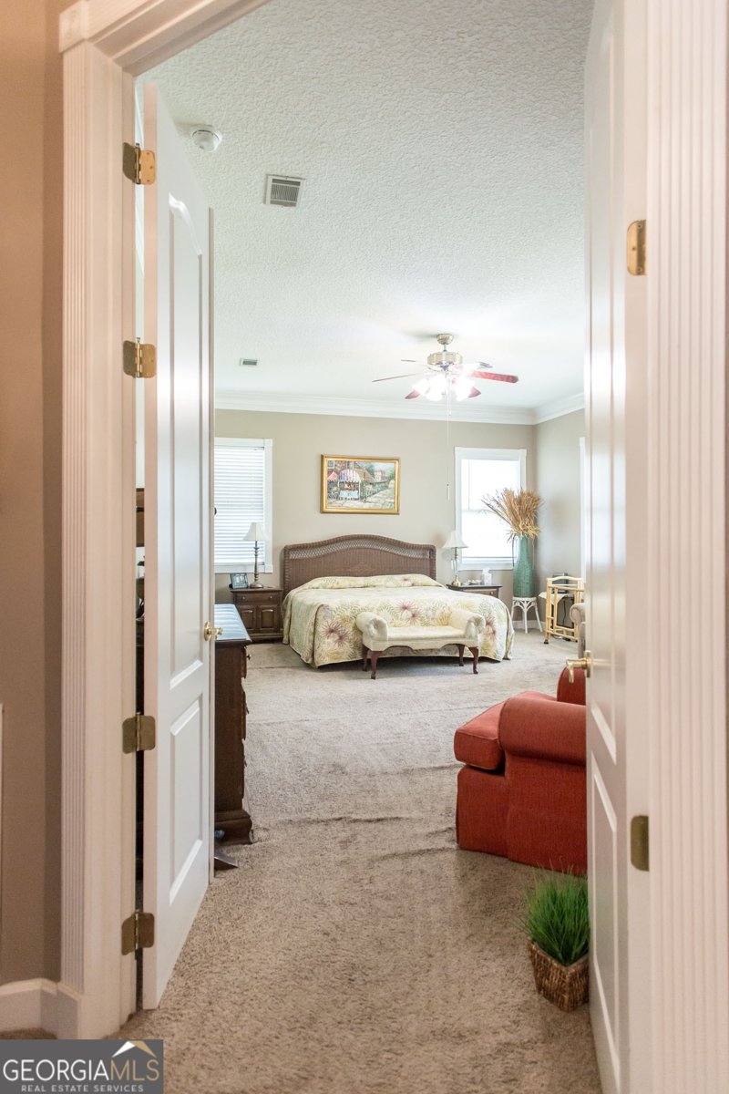 6223 Palmetto Way Blackshear - 49