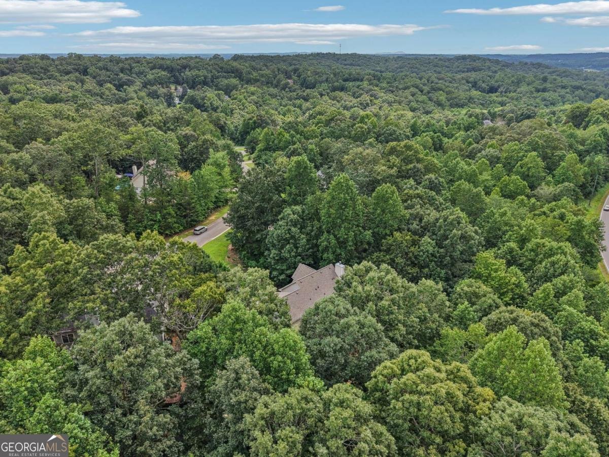 119 Hampton Forest Place Dahlonega - 21