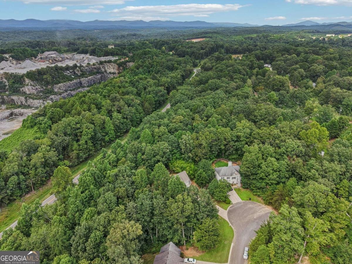 119 Hampton Forest Place Dahlonega - 26