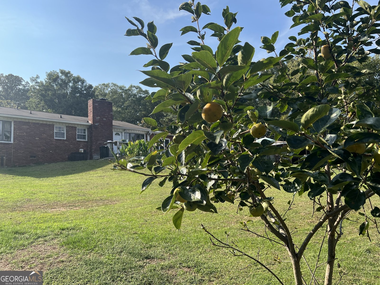 6250 Feldwood Road Atlanta - 33