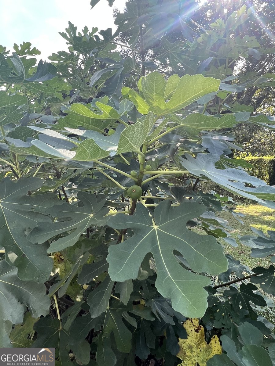 6250 Feldwood Road Atlanta - 35