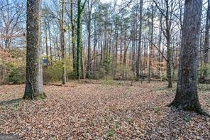 3667 Humphries Hill Road Austell - 26