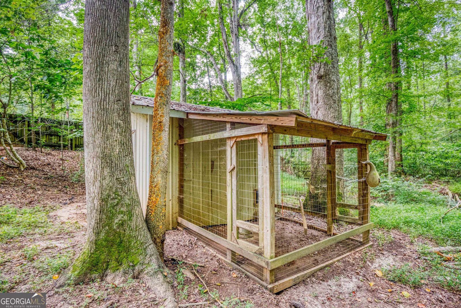 979A Honeysuckle Trail Winder - 10