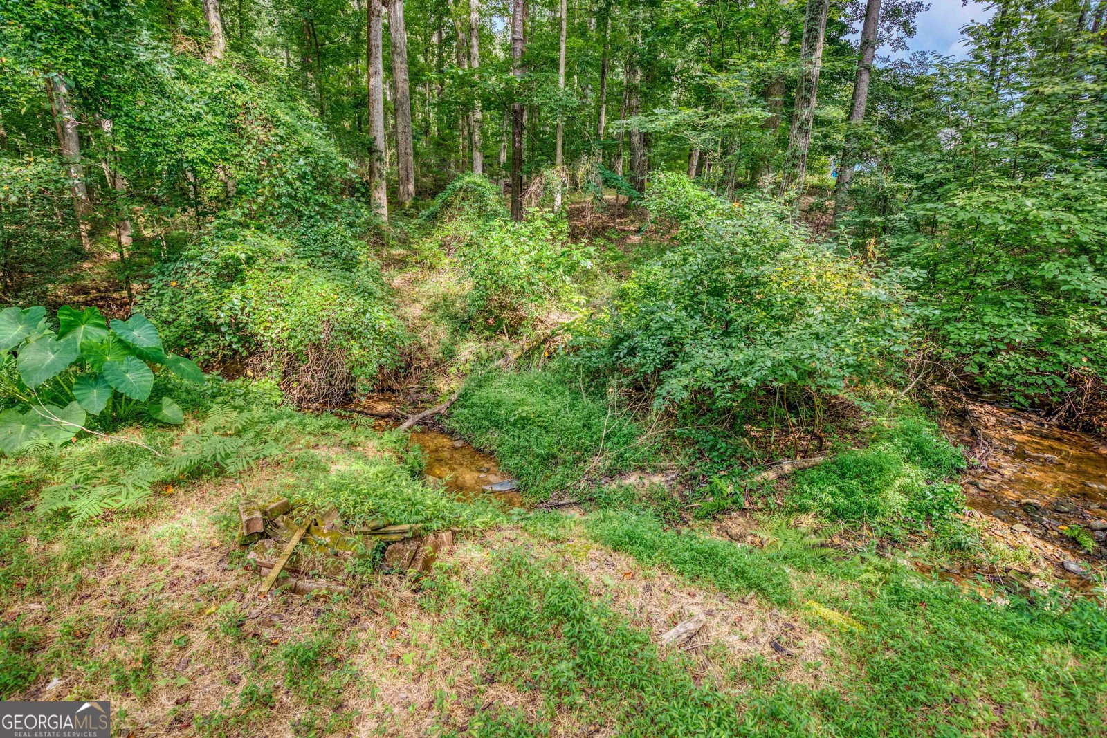 979A Honeysuckle Trail Winder - 12
