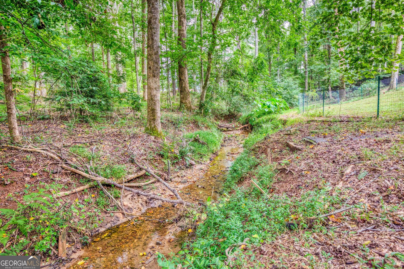 979A Honeysuckle Trail Winder - 13