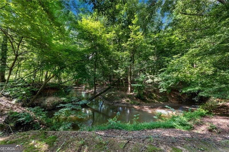 5861 Yoshino Cherry Lane Braselton - 28