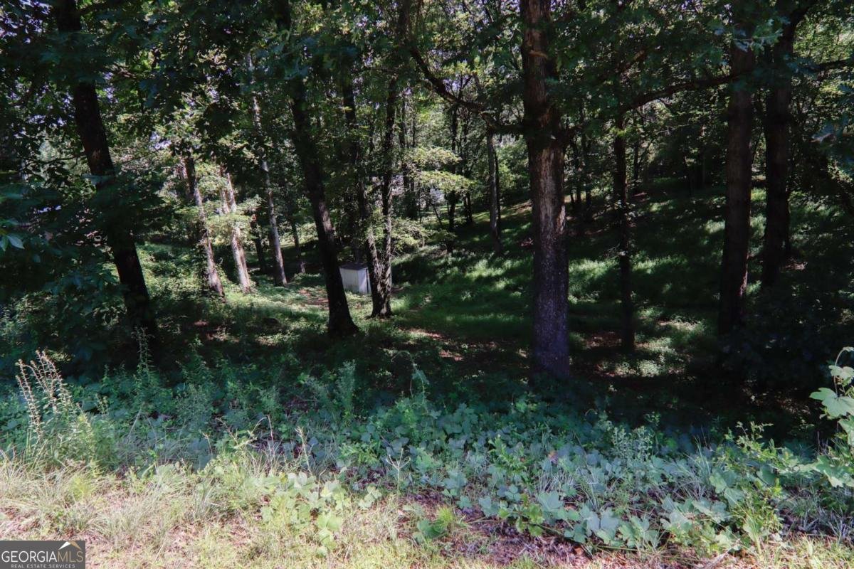 1760 Mountain Ash Court Dacula - 3