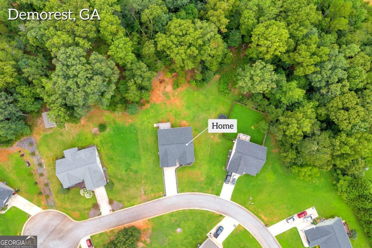 134 Mills Crossing Court Demorest - 34