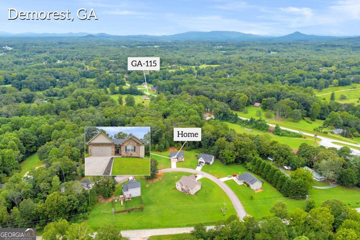 134 Mills Crossing Court Demorest - 35