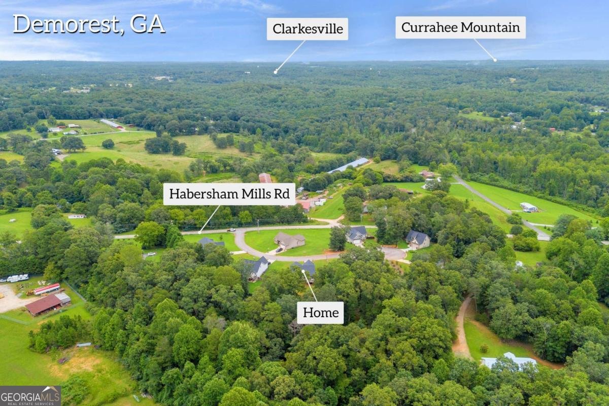 134 Mills Crossing Court Demorest - 36