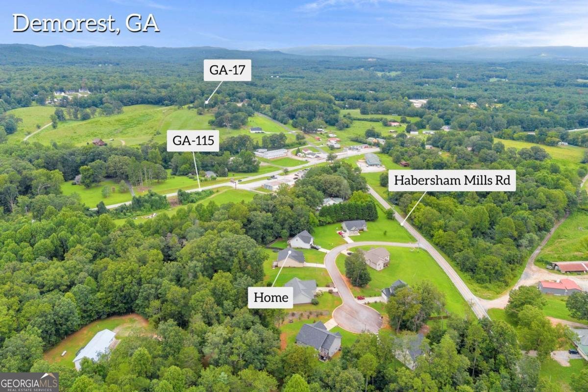 134 Mills Crossing Court Demorest - 37