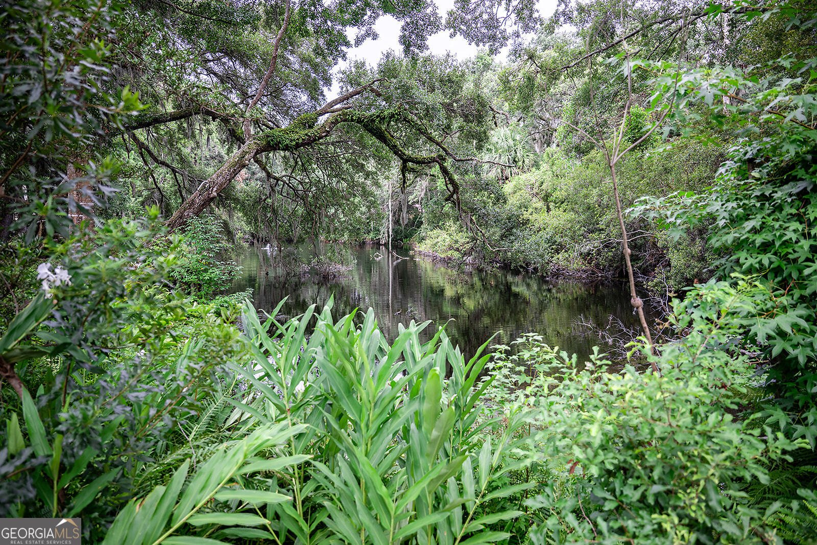 4909 Frederica Road St. Simons - 9