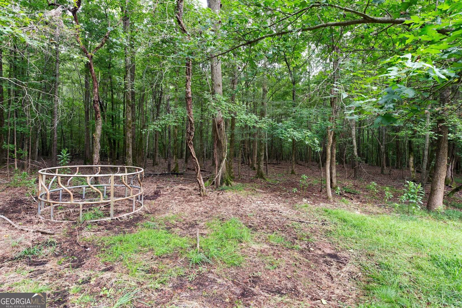 556 Fuller Road Athens - 8
