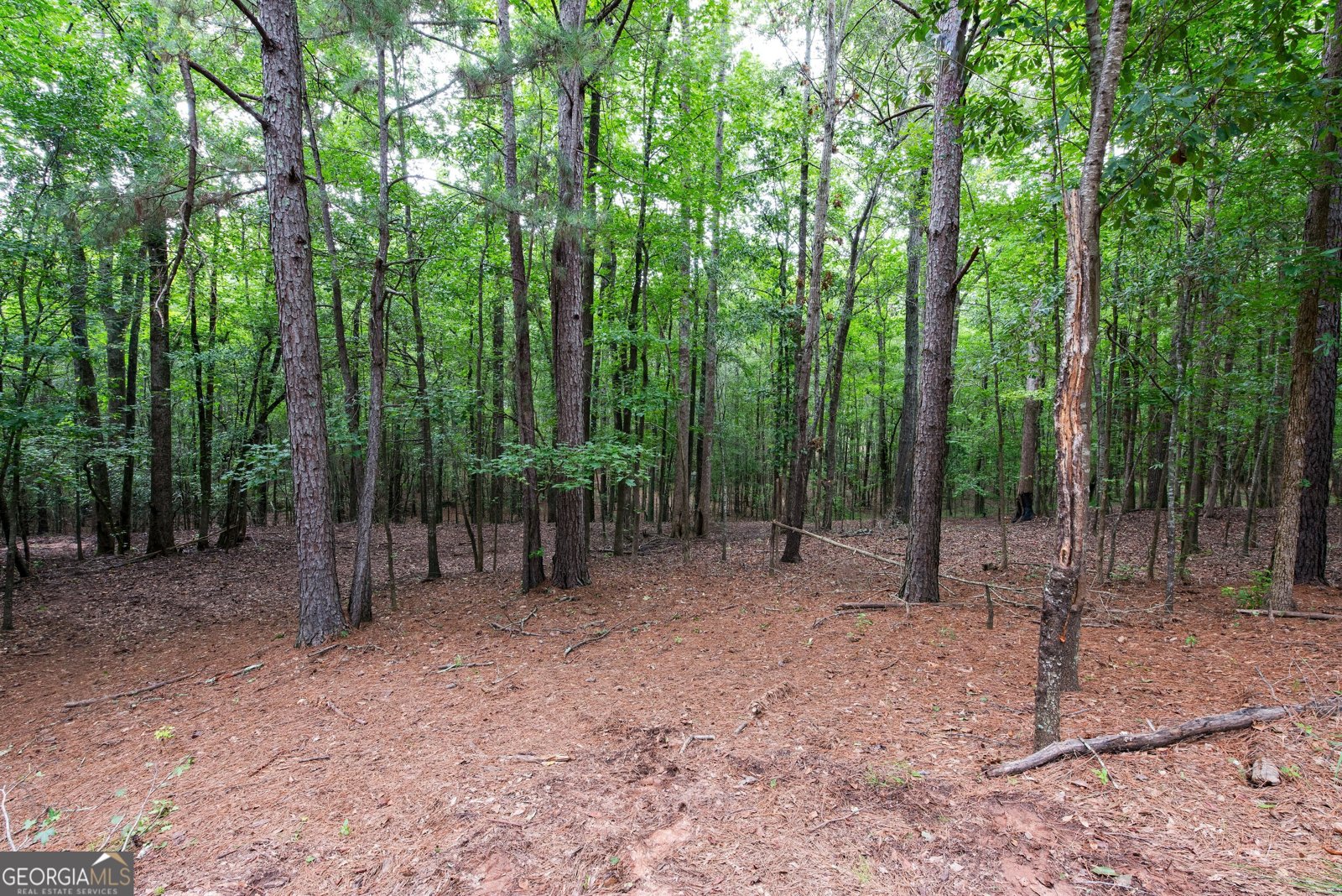 556 Fuller Road Athens - 9