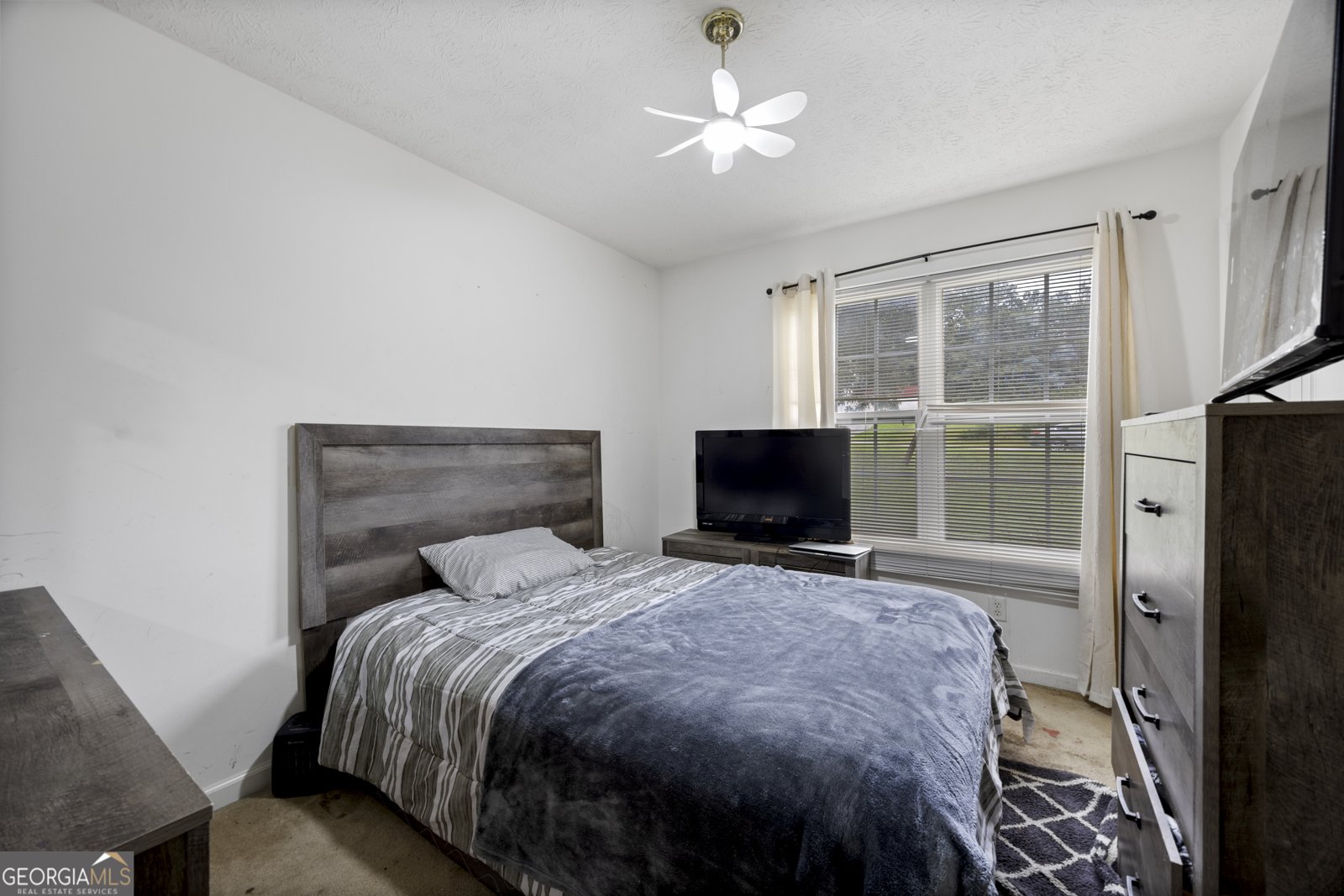 227 Diamond Court Carrollton - 10