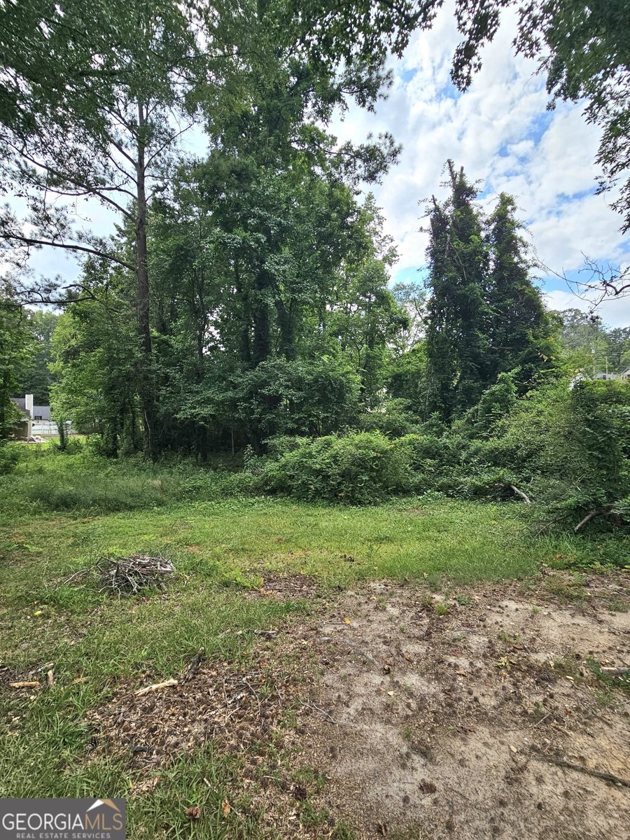 2293 Ewing Street Atlanta - 17