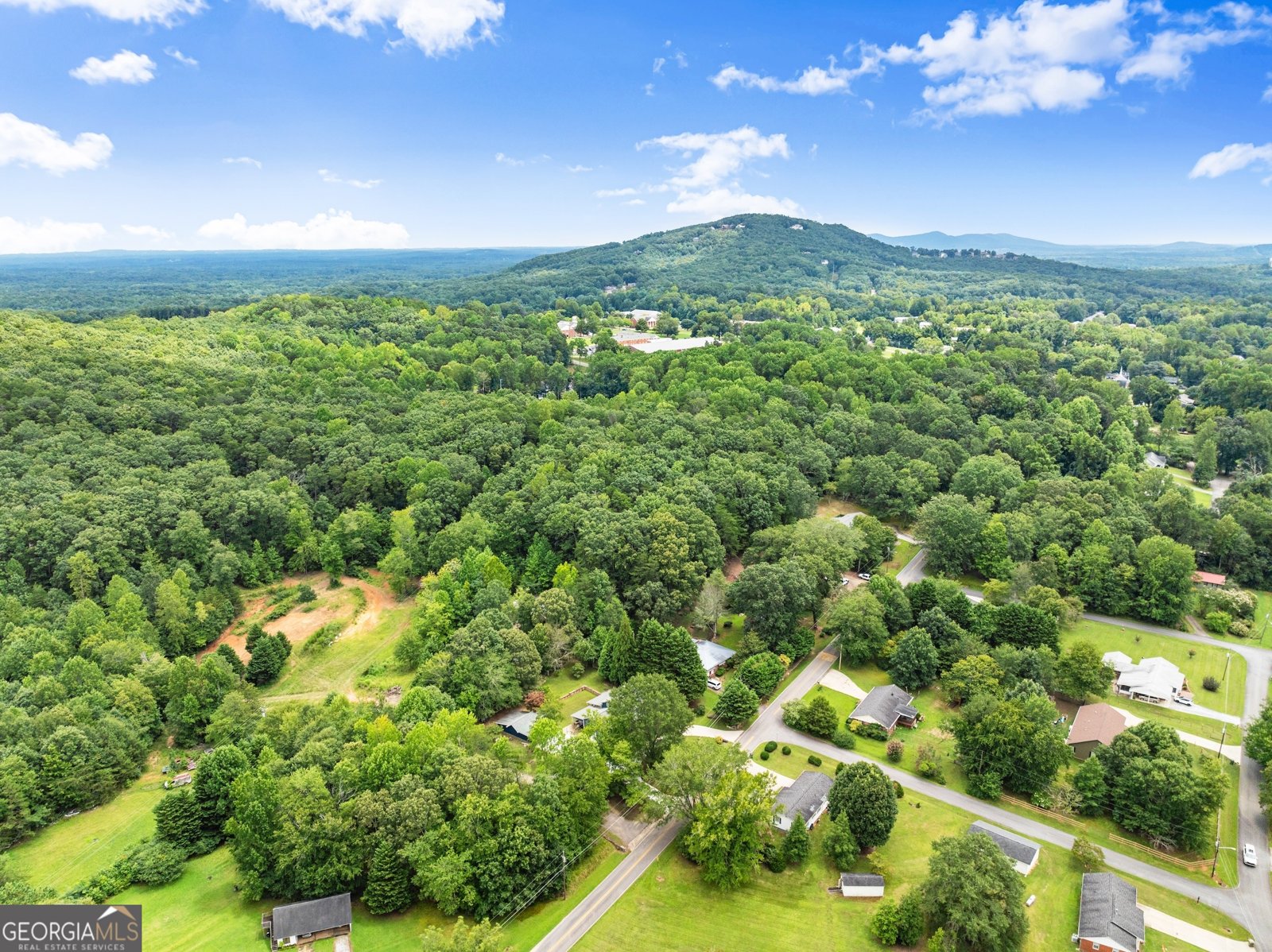 438 Dixon Drive Cleveland - 13