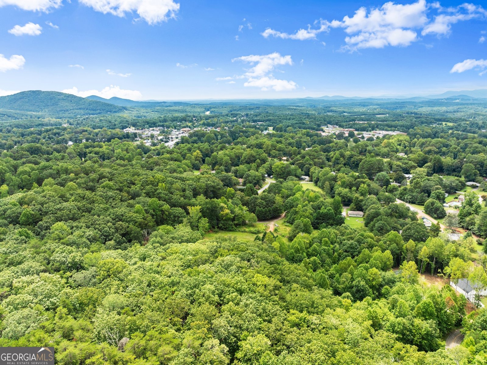 438 Dixon Drive Cleveland - 14