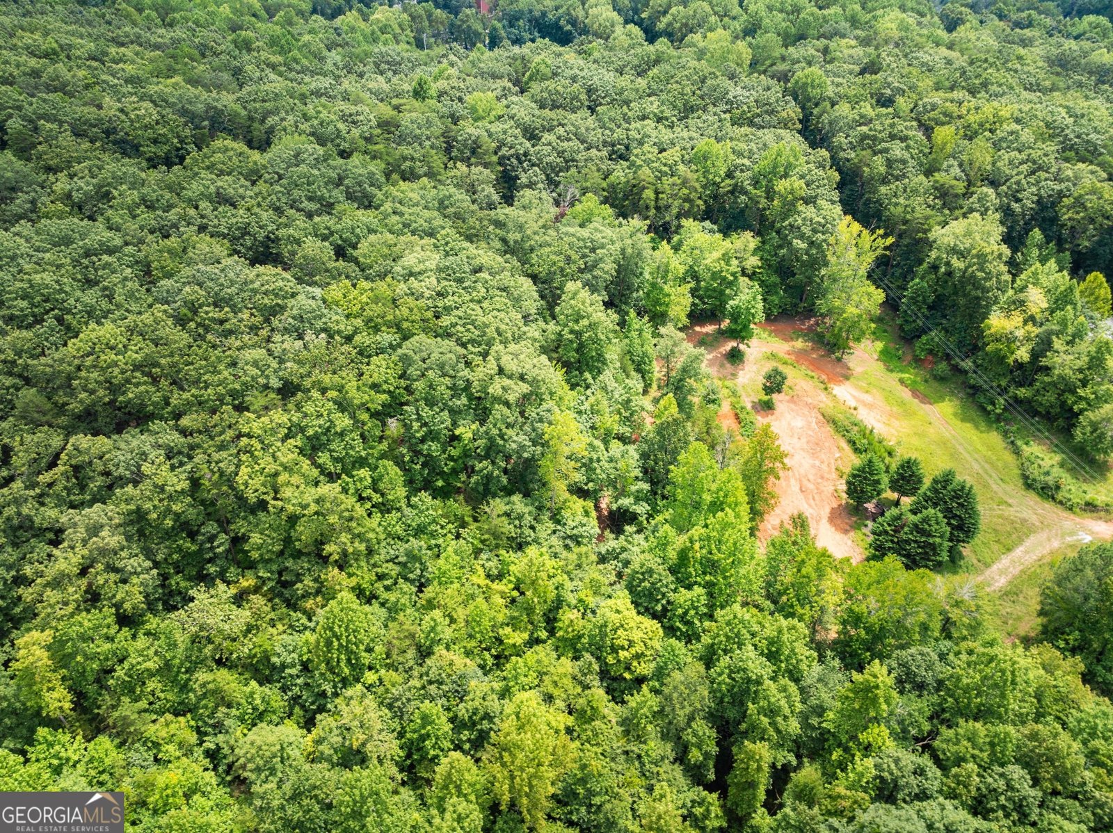 438 Dixon Drive Cleveland - 17