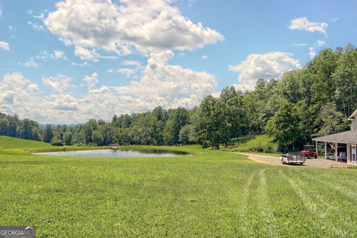 299 Old Homestead Lane Hayesville - 11