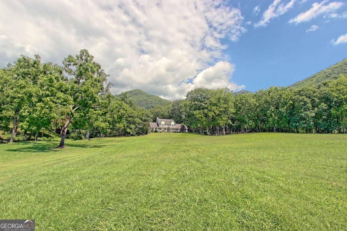 299 Old Homestead Lane Hayesville - 12