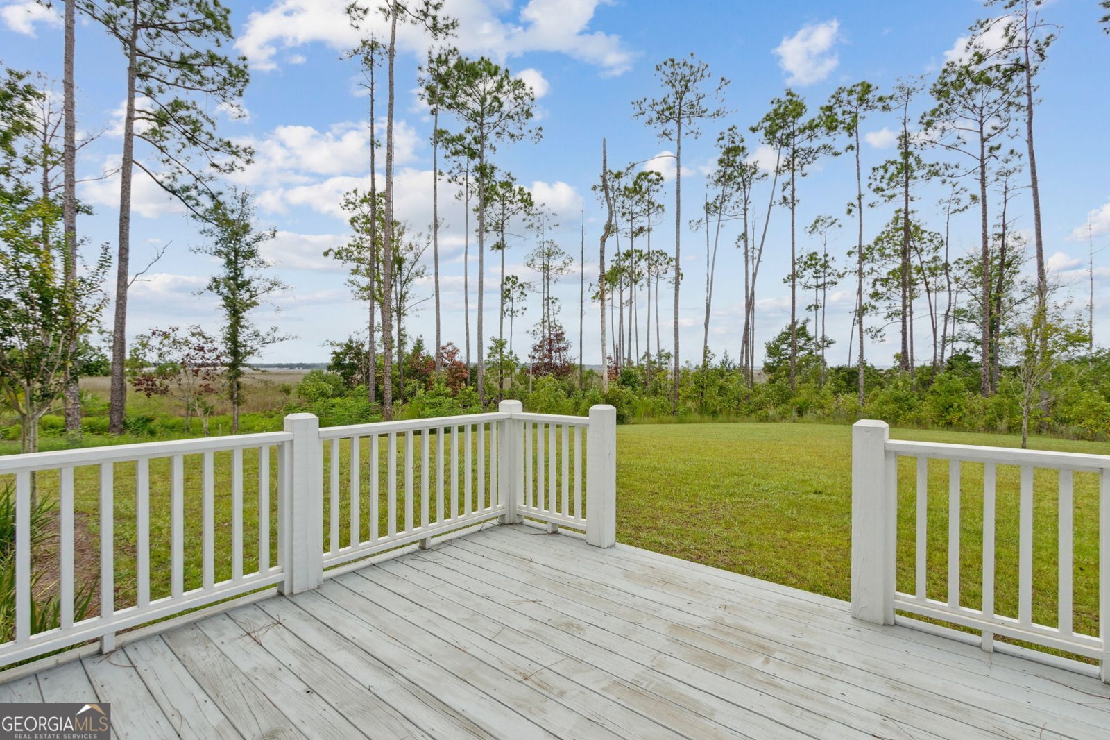 2090 Isles Of St Marys Way St. Marys - 19