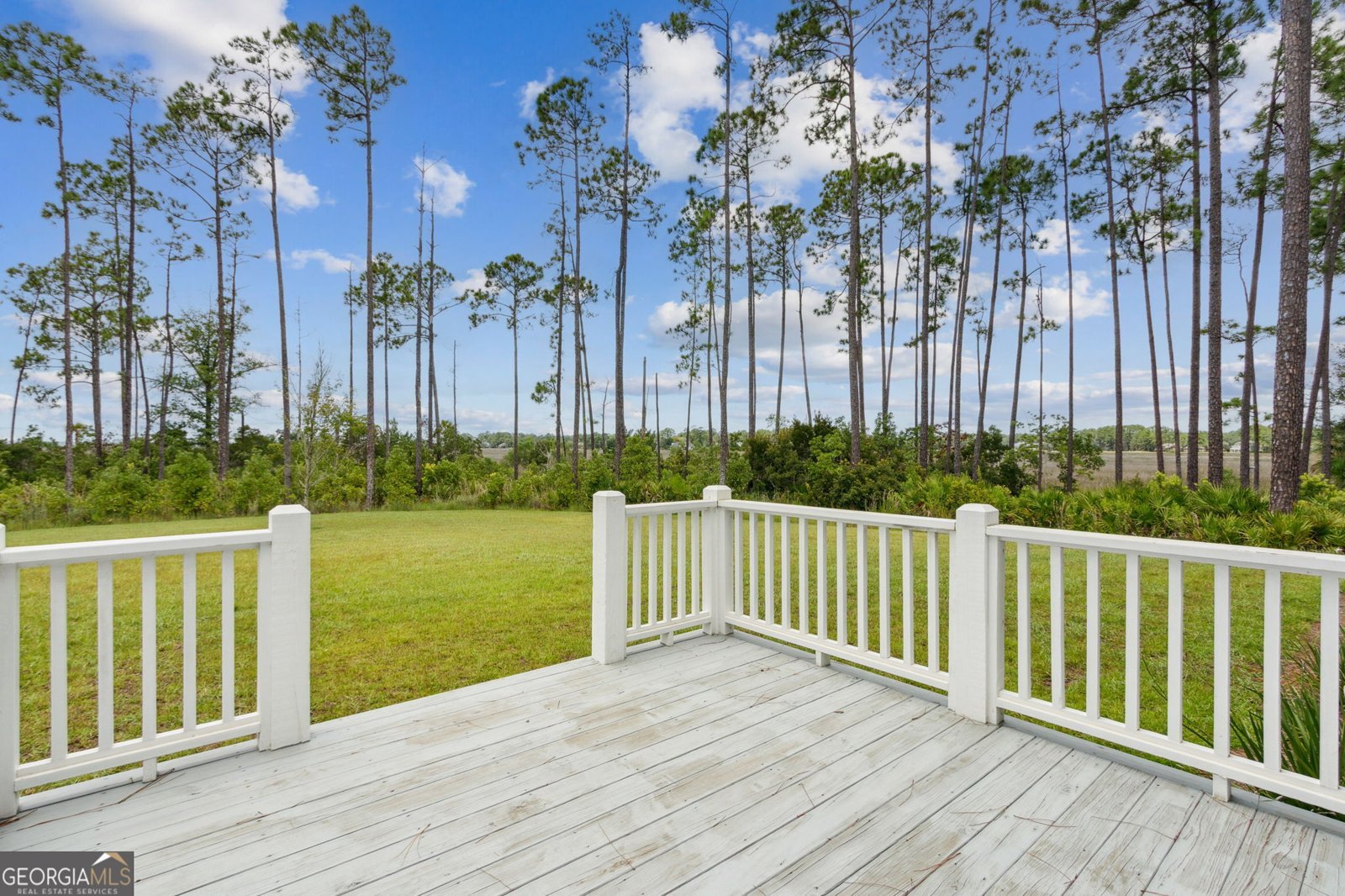 2090 Isles Of St Marys Way St. Marys - 20